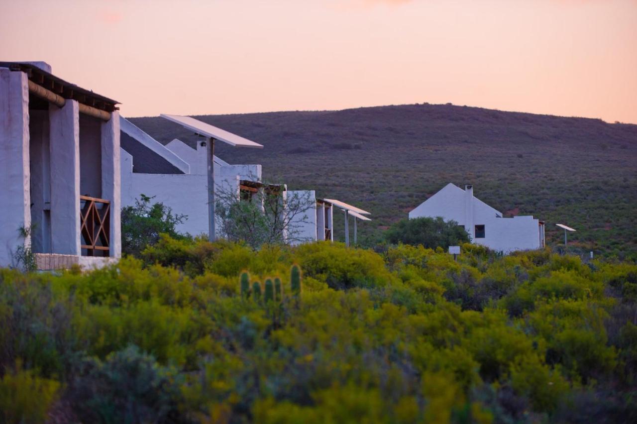 African Game Lodge Монтегю Екстериор снимка