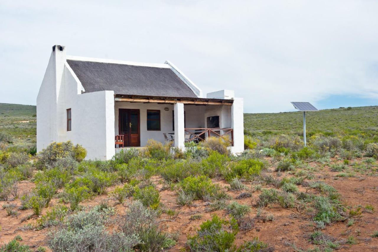 African Game Lodge Монтегю Екстериор снимка