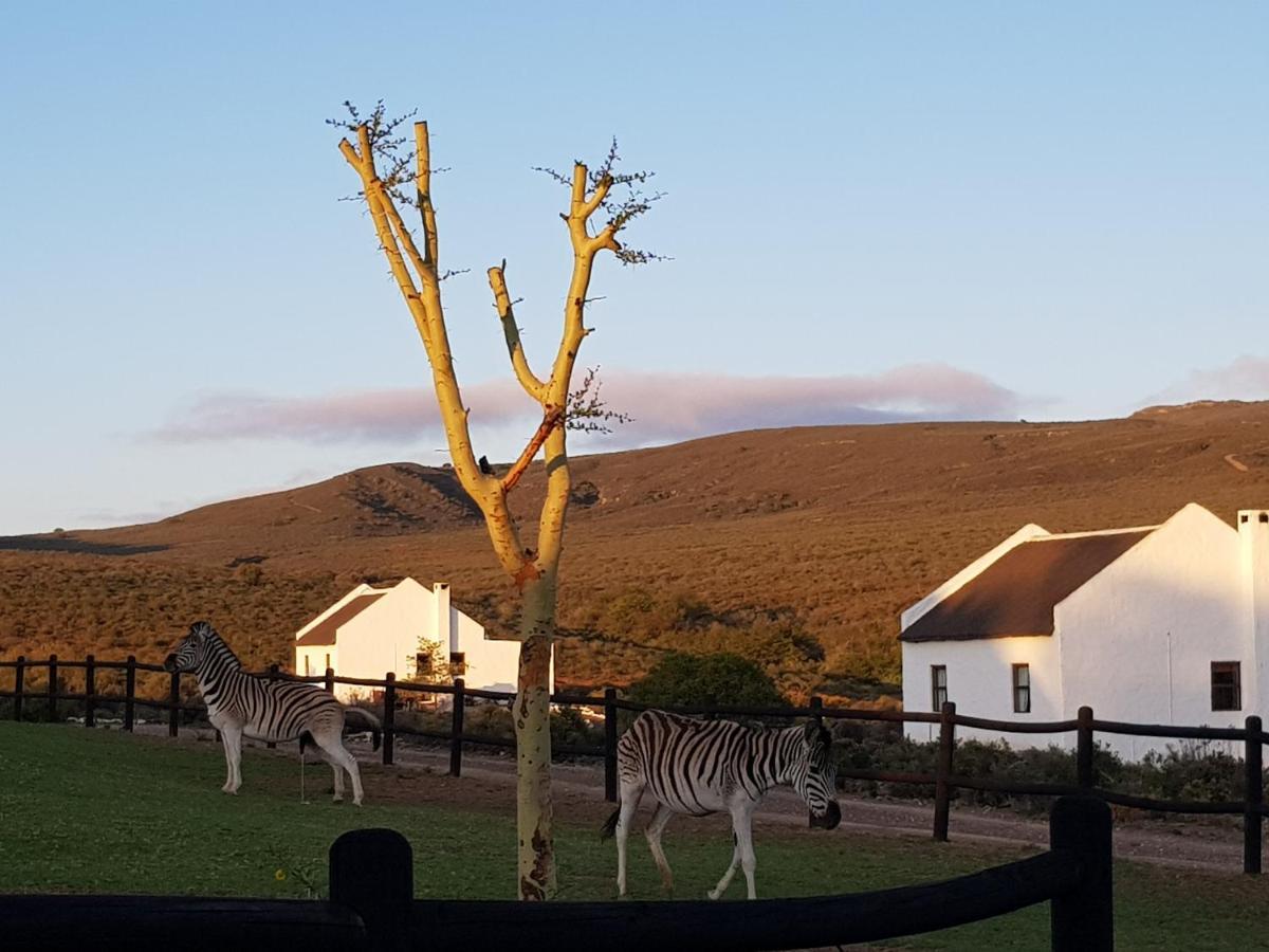 African Game Lodge Монтегю Екстериор снимка