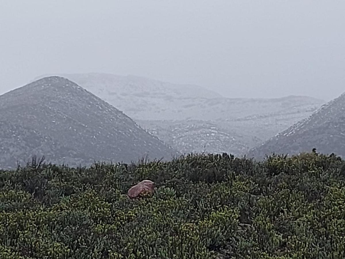African Game Lodge Монтегю Екстериор снимка