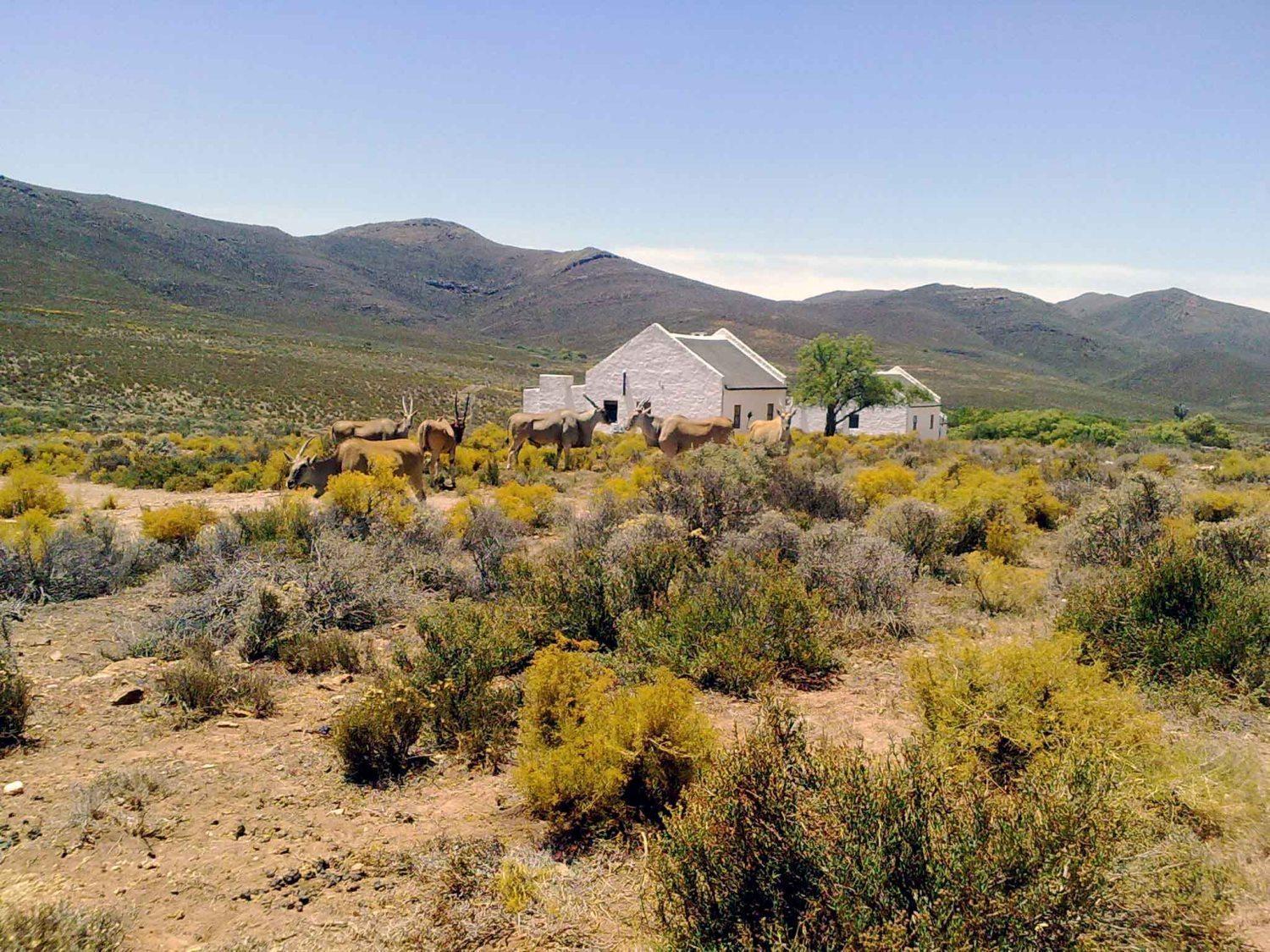 African Game Lodge Монтегю Екстериор снимка